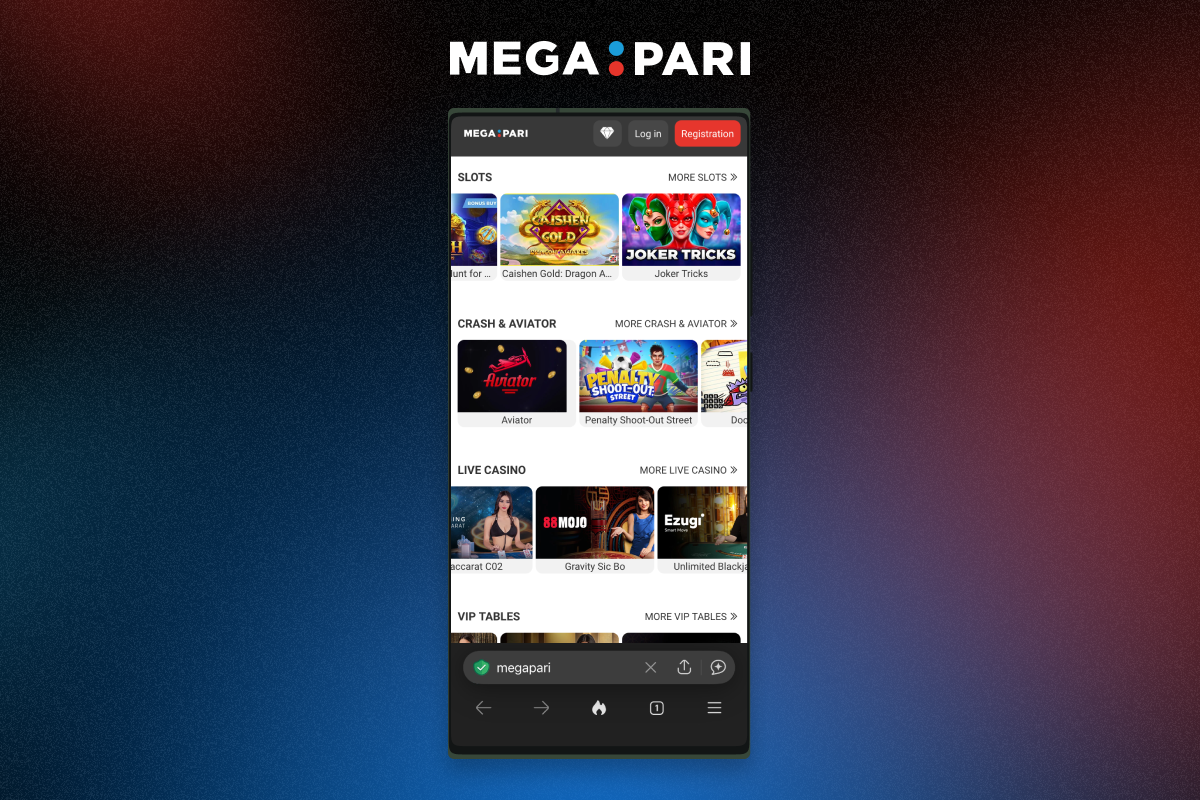 Megapari Website Overview